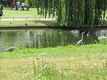 Regent's Park