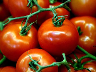 New Mozzarella Bar To Open In London - A new Italian restaurant is to open in the City of London.