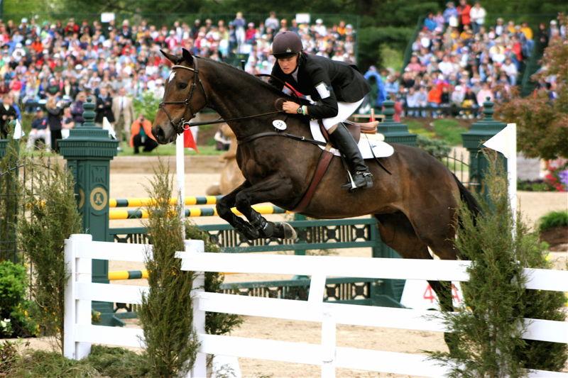 Jumping, Eventing and Dressage