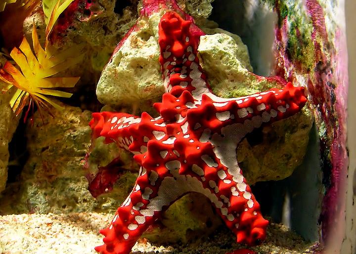 Mediterranean Aquarium at Barcelona’s Port Vell