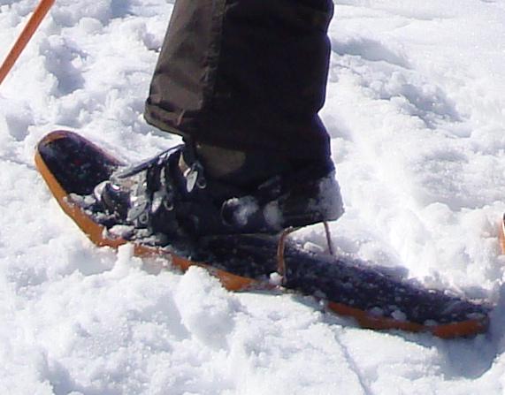 Snowshoe Walking - Explore Secluded Mountain Areas