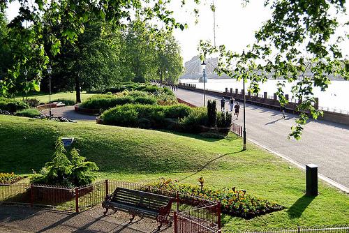 A Lively Park Filled with all Sorts of Activities