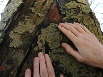 Rome Museum Holds Arte Povera Exhibition - An art exhibition celebrating an historic movement is being held at a Rome museum.