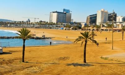 Explore the Urban Beaches of Barcelona