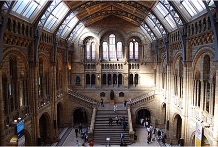 Find Fast Facts in this Beautiful History Museum