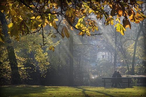 Beautiful Green Space in the City